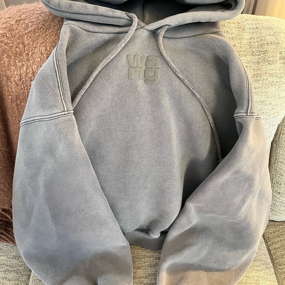 Alexander Wang Washed Grey Sweat Set